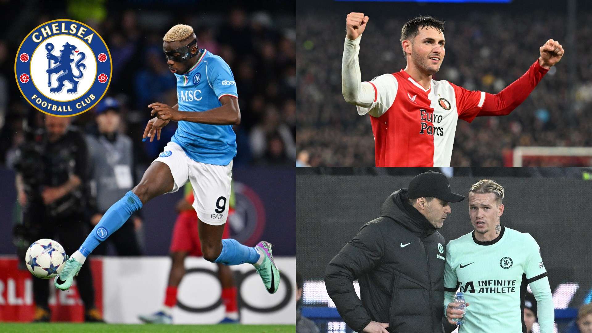 山东泰山 山东泰山