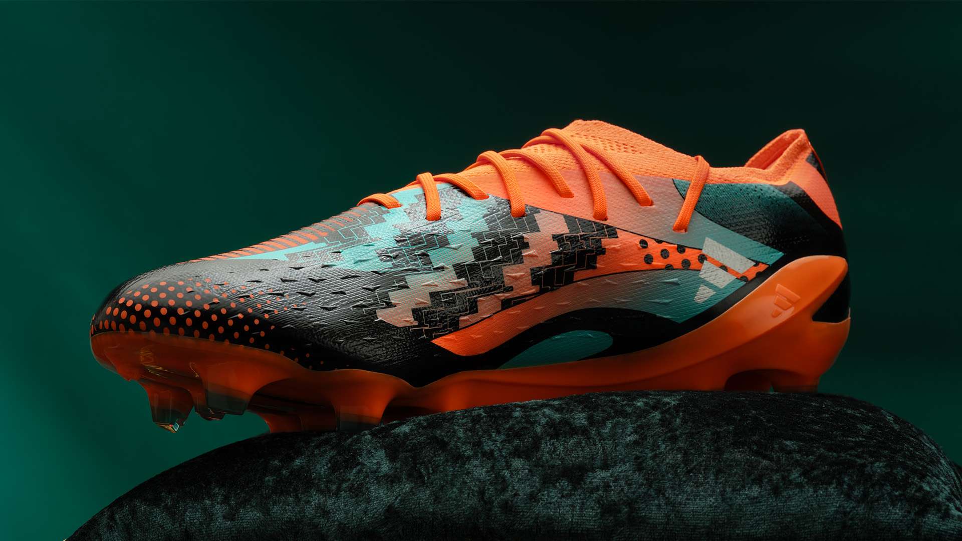 冠军数量的 冠军数量的