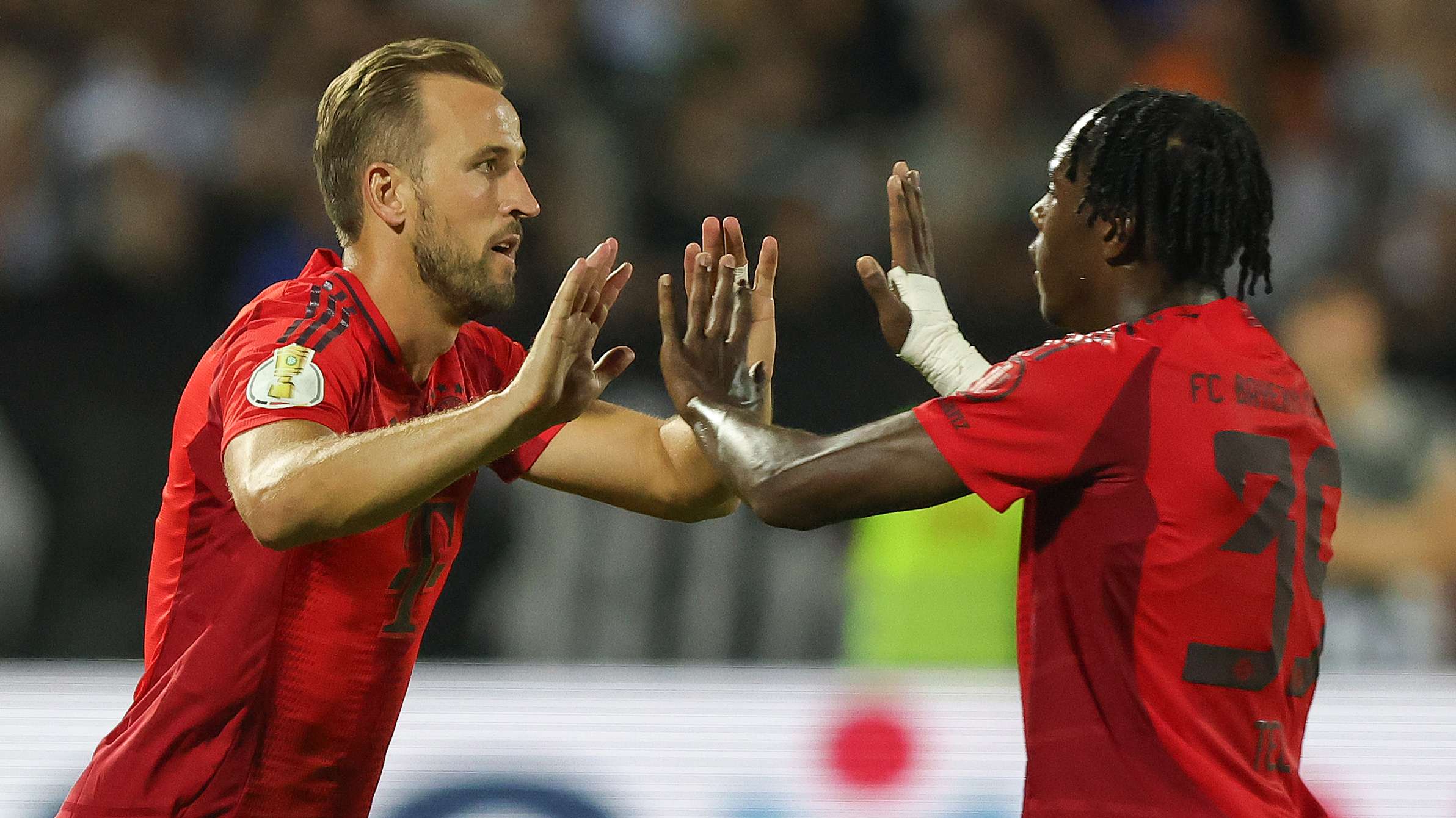 如何在适应 如何在适应